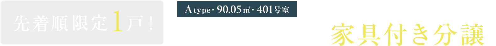 ［401号室］先着順限定1戸！モデルルーム 家具付き分譲※3