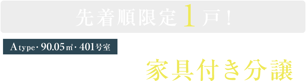 ［401号室］先着順限定1戸！モデルルーム 家具付き分譲※3