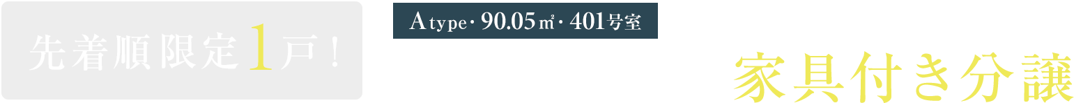 ［401号室］先着順限定1戸！モデルルーム 家具付き分譲※3