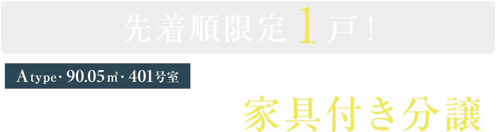 ［401号室］先着順限定1戸！モデルルーム 家具付き分譲※3