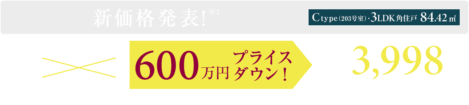 ［203号室］新価格発表！事務所使用住戸