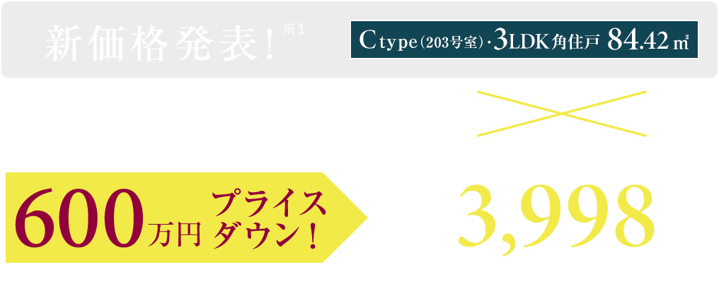 ［203号室］新価格発表！事務所使用住戸