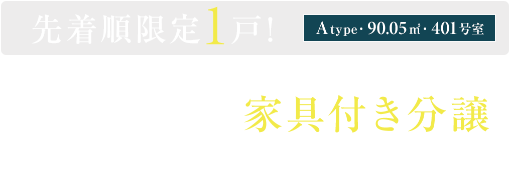 ［401号室］先着順限定1戸！モデルルーム 家具付き分譲