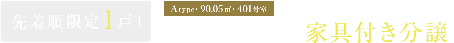 ［401号室］先着順限定1戸！モデルルーム 家具付き分譲※3